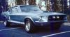 Filename=1967_Ford_Shelby_mustang_gt_500_1.jpg
Filesize=33KB
Dimensions=514x278
Date added=Aug 04, 2006 1967_Ford_Shelby_mustang_gt_500_1.jpg