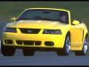 Filename=cobra3.jpg
Filesize=195KB
Dimensions=1600x1200
Date added=Jun 10, 2007 cobra3.jpg