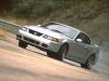 Filename=cobra6.jpg
Filesize=227KB
Dimensions=1600x1200
Date added=Jun 10, 2007 cobra6.jpg