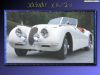 jaguar_xk120_01.jpg