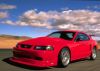 mustang_cobrar_frontr1024.jpg