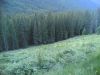 Filename=30062007(012).jpg
Filesize=247KB
Dimensions=1280x960
Date added=Jul 04, 2007 30062007(012).jpg