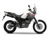 big_yamaha_xt660z_tenere_08_29.jpg