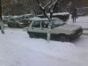 DSC01194.JPG