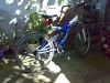 Filename=180720111159.jpg
Filesize=667KB
Dimensions=2048x1536
Date added=Jul 22, 2011 180720111159.jpg